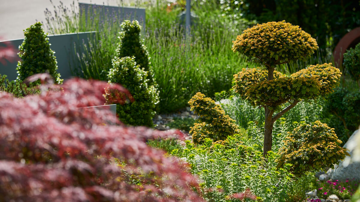 40+ Best Vorrat Garten In Stuttgart Kaufen / Garten